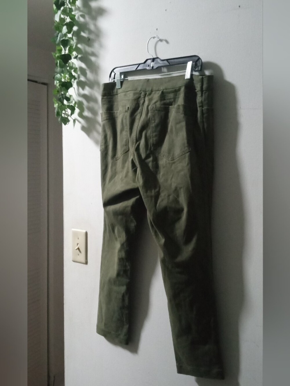Express Olive Cropped Pants XL - Picture 4 of 5